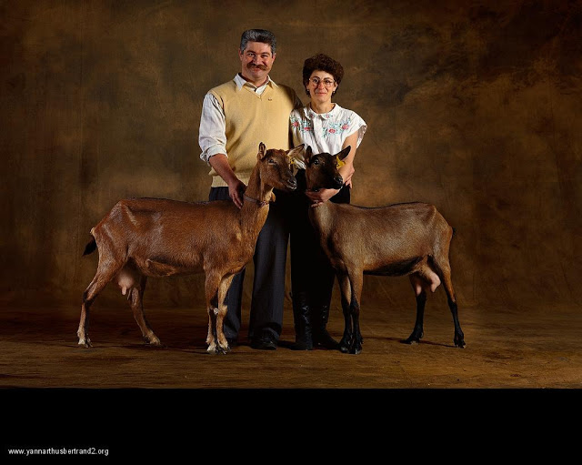 yann-arthus-bertrand-farm-animal-portraits-oberhaslis-dairy-goat